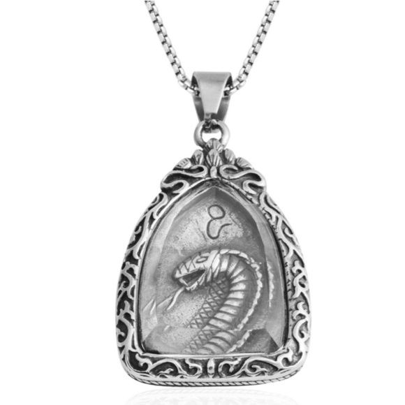 Engarved Snake Pendant Black Oxidized Necklace - Picture 1 of 8
